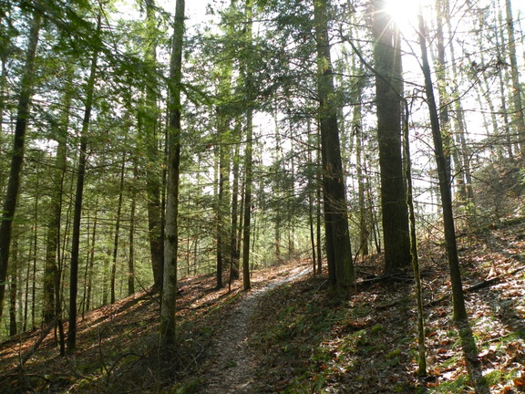 Koomer Ridge Trail